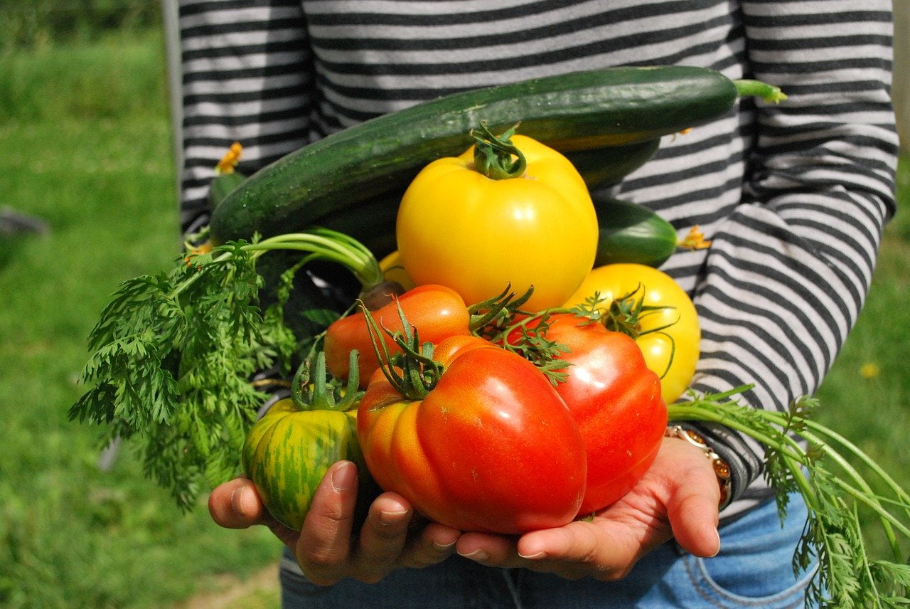 6 bonnes raisons de faire son propre potager